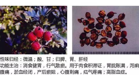 消食药