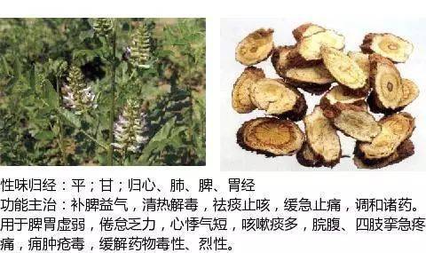 补虚药